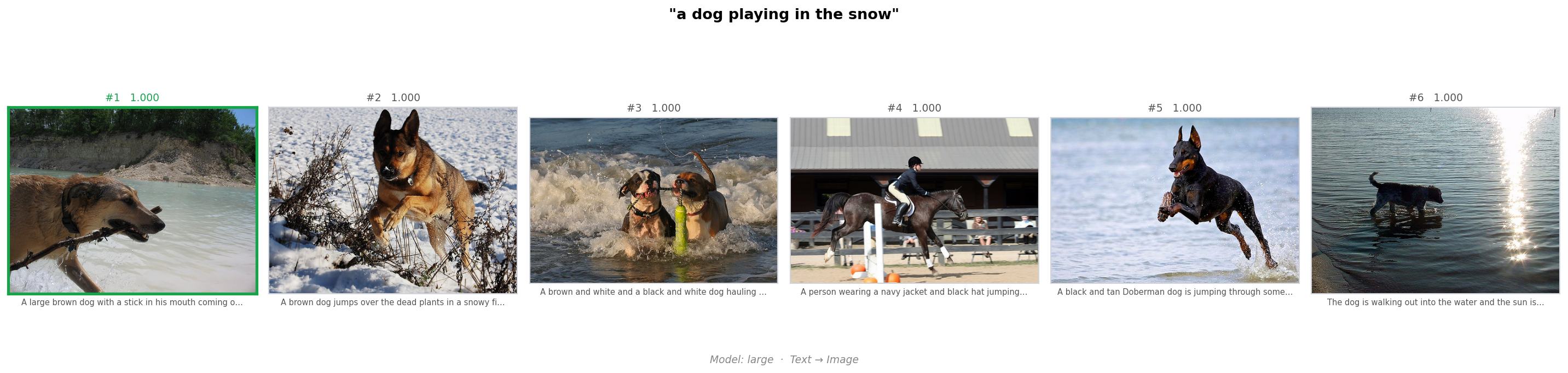 Query: a dog playing in the snow