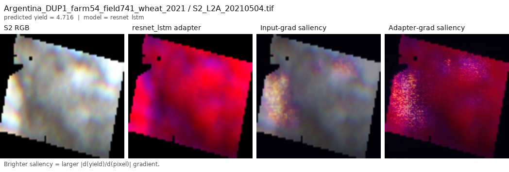 CNN saliency map for an Argentina wheat field